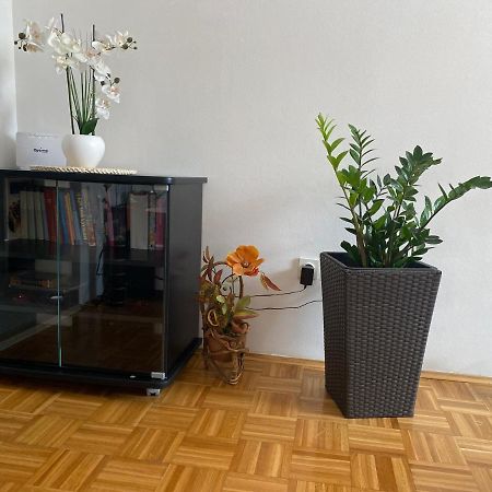 Apartment Miana Trogir Zewnętrze zdjęcie